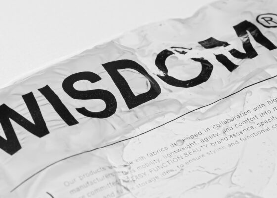 WISDOM x INVISIBLEBAG